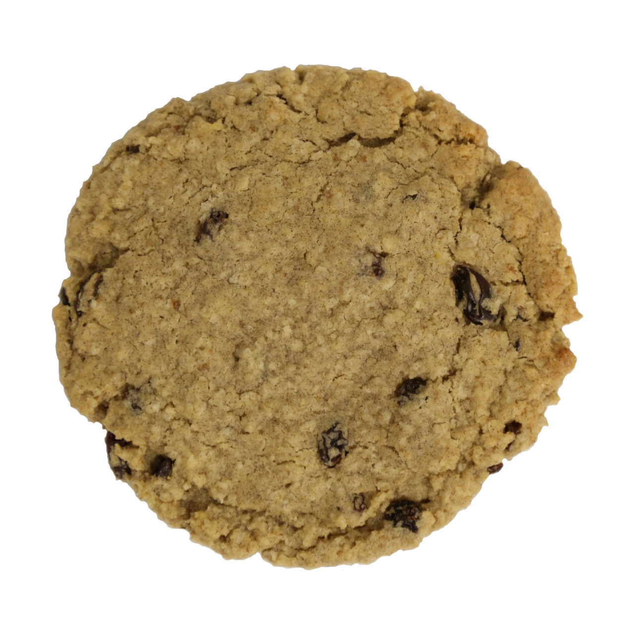Bit Oatmeal Raisin Cookie 8pk (V/GF)-$20